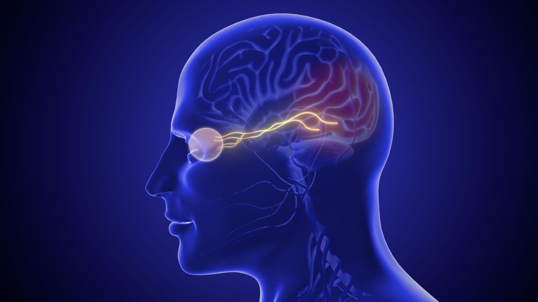 Neuro-Ophthalmology